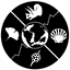 Favicon de paleobiodb.org