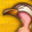 Favicon de linuxfr.org