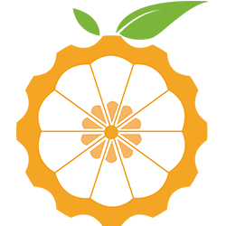 Favicon de www.orangepi.org
